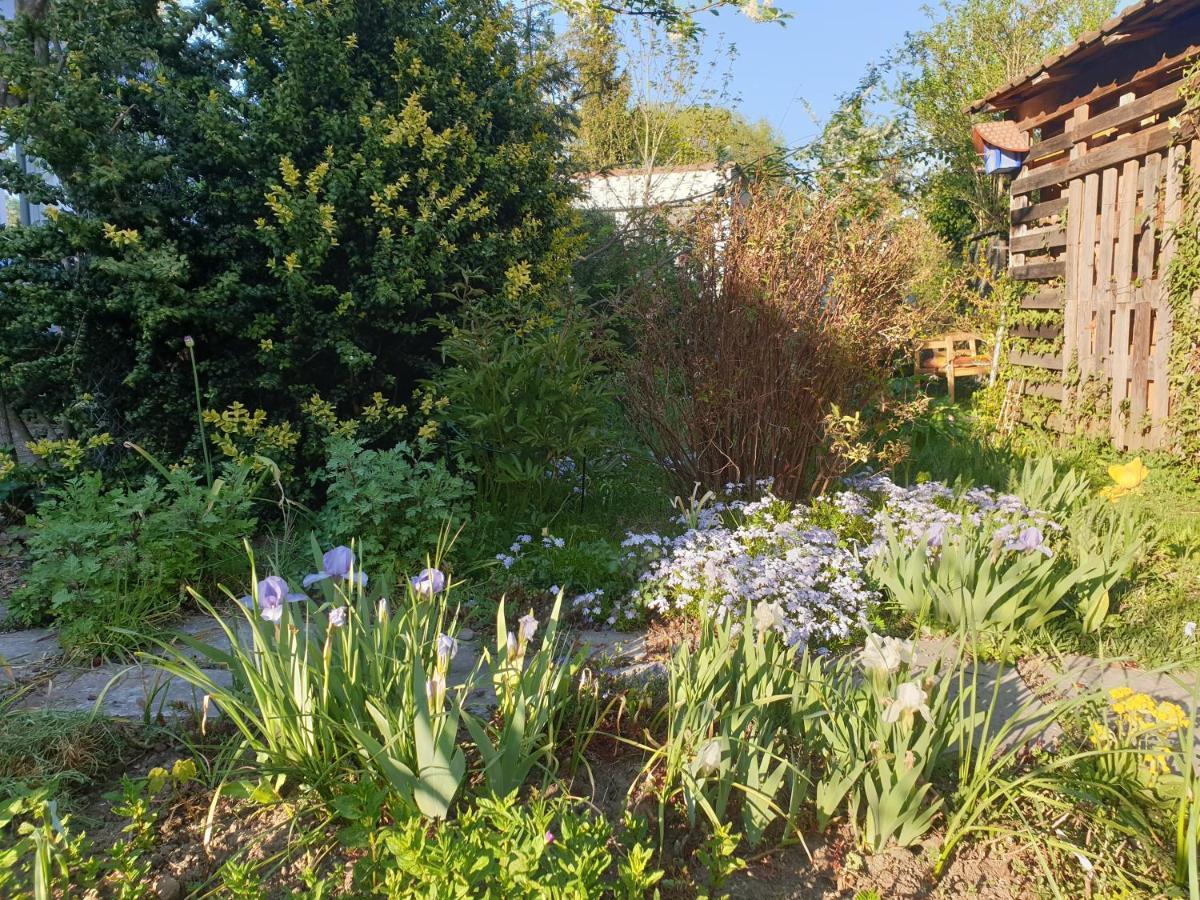 Unser Obervolkacher Ferienhaus-Einfach Gemutlich! المظهر الخارجي الصورة